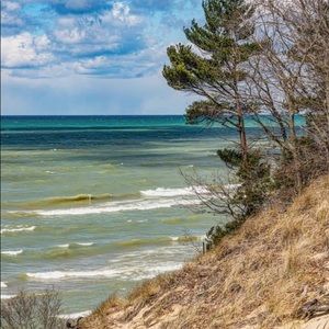 Meet your Posher, Toni